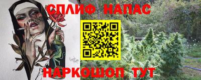 прущие грибы Кингисепп