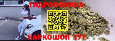 прущие грибы Кингисепп