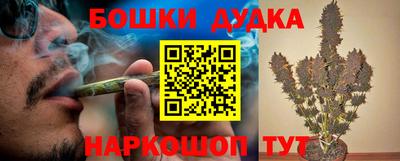 прущие грибы Кингисепп