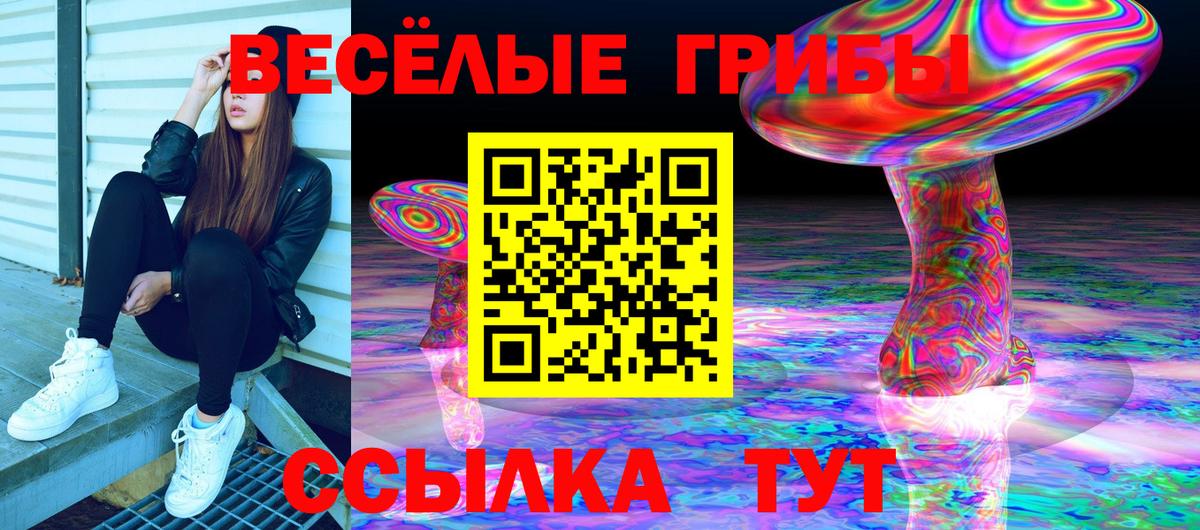 где продают наркотики  Псилоцибиновые грибы ЛСД  Вход с VPN  Чита 